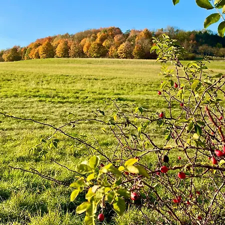 Im Himmelreich Jéna