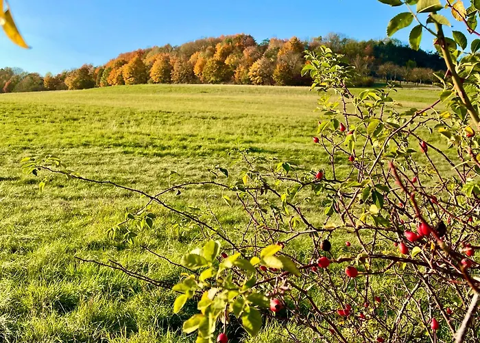 Im Himmelreich Jéna